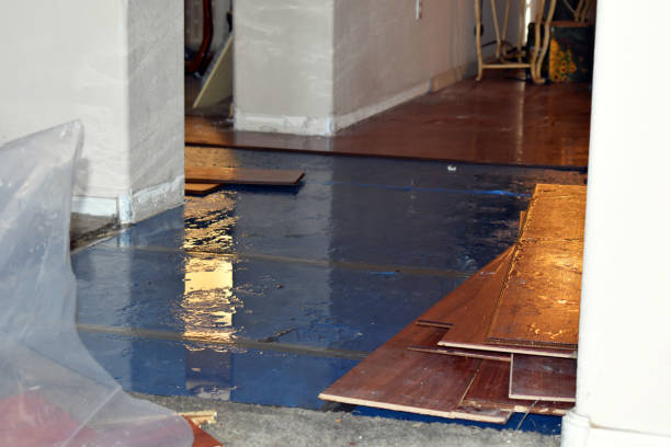 Professional Sewage Cleanup technician working in Alna, ME
